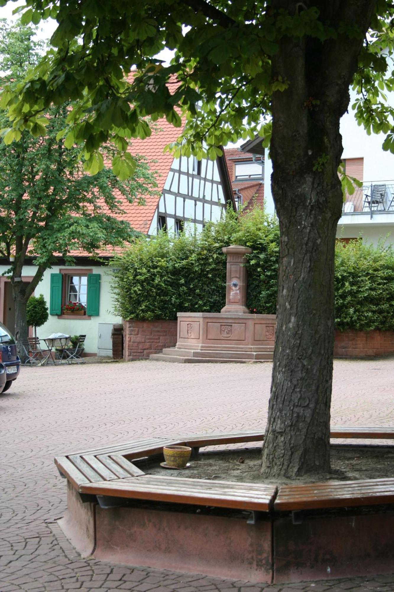 Landhotel Sickinger Hof Walldorf  Eksteriør bilde